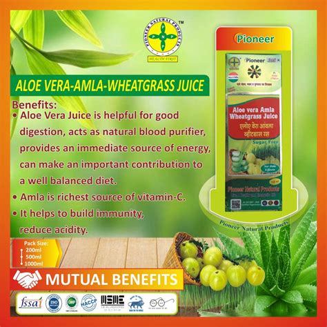 AlOE VERA AMLA WHEATGRASS JUICE 500 Ml Packaging Type Bottle At Rs