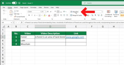 How To Wrap Text In Excel Sheet Leveller