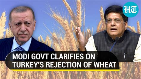 Modi Govt Rejects Turkey S Charge On Wheat Quality Piyush Goyal Says