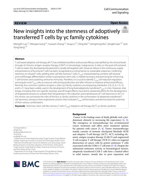 Pdf New Insights Into The Stemness Of Adoptively Transferred T Cells