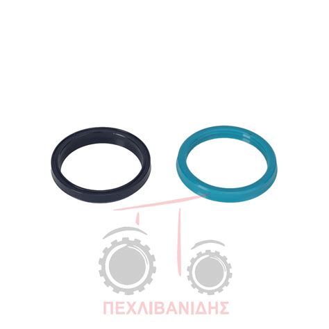 Hydraulic cylinder seals kit Massey Ferguson 4200 4300 Πεχλιβανίδης