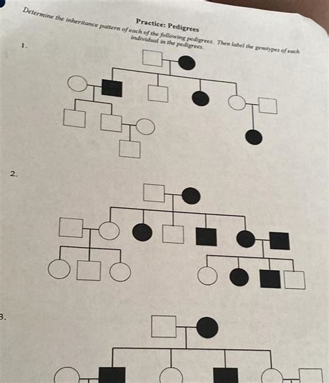 [answered] 2 Practice Pedigrees Determine The Inheritance Pattern Of