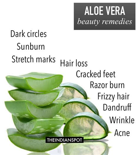 Uses Of Aloe Vera Plant For Hair