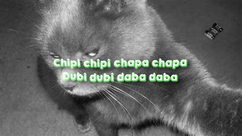 Chipi Chipi Chapa Chapa Dubi Dubi Daba Daba Youtube