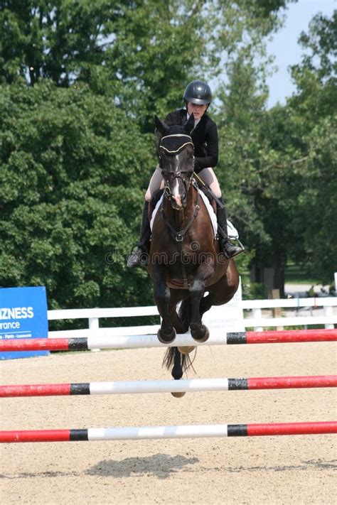 Bluegrass Festival Horse Show 2019 Xxvi Editorial Stock Photo Image