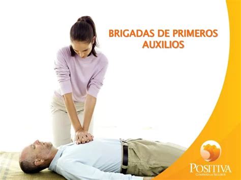 Ppt Brigadas De Primeros Auxilios Powerpoint Presentation Free