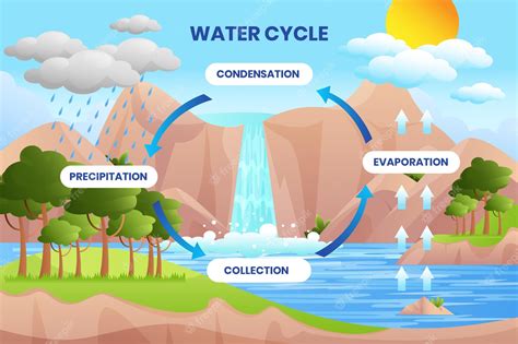 What Causes Rain