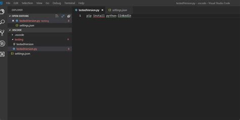 Install Pip Visual Studio Code Polewfive