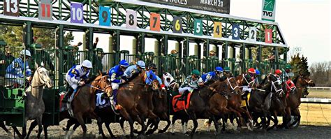 Jeff Ruby Steaks Horse Racing Odds 200 No Sweat Win Bet