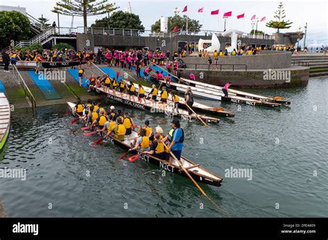 Dragon Boat Teams Training In Whairepo Lagoon For A Forthcoming