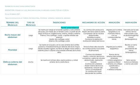 Tabla de Músculos del Abdomen Ivanna Hoffman uDocz