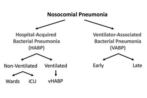 Pneumonia Flashcards Quizlet