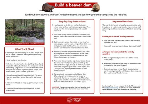 Activities For Kids Beaver Trust