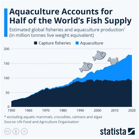 Growing Shrimp Is Restoring Mangroves And Creating Jobs Heres How