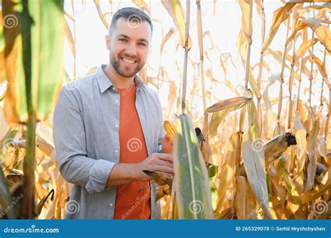 Agronomist Checking Corn If Ready For Harvest Portrait Of Farmer