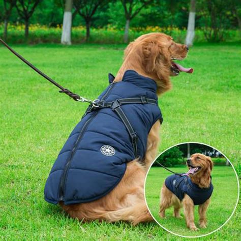 10 of the Best Waterproof Dog Coats (2025) | UK Pets