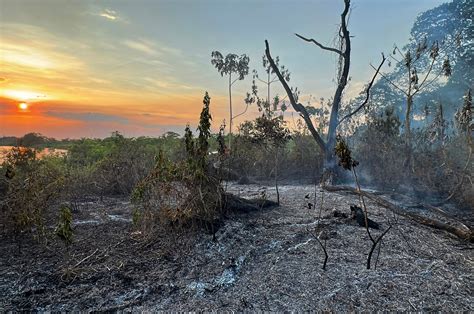 Número de incêndios dispara no Pantanal em plena estação das chuvas