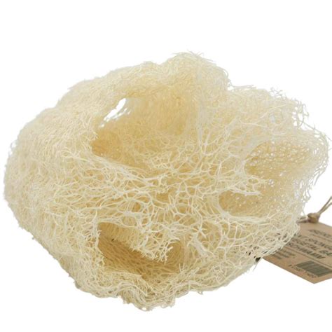 Esponja Vegetal De Luffa Tienda Online Cero Residuo