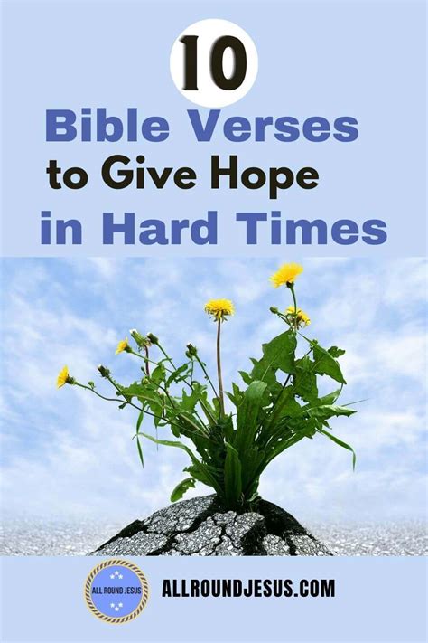 10 Bible Verses To Keep Hope Alive In Hard Times All Round Jesus