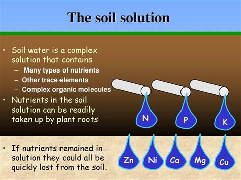 How Soils Supply Plant Nutrients An Introduction To Soil Chemistry