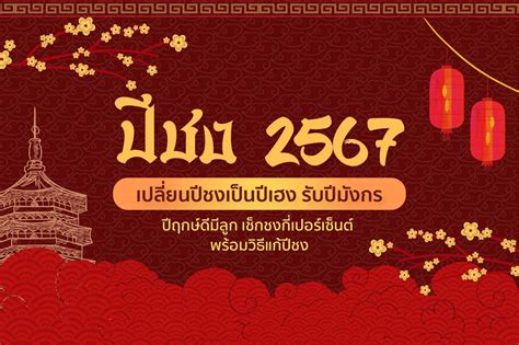 ปีชง 2567 ปีนักษัตรอะไรบ้าง วิธีแก้ชง เสริมดวงรับปีมังกรทอง Ennxo