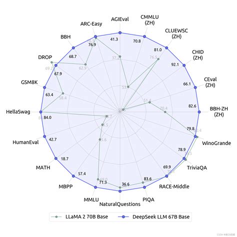 国产670亿参数的DeepSeek超越Llama2全面开源 deepseek ai CSDN博客