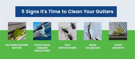 Is It Time for Gutter Cleaning? - A Better Gutter Cleaning