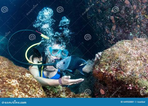 Beautiful Latina Diver Girl While Touching A Fish Stock Image Image Of Woman Lifestyle