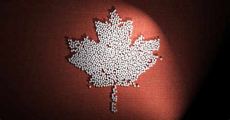 Les Dessous De La Crise Des Opioïdes Au Canada Iciradio Canadaca