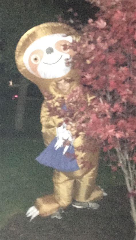 cursed_sloth : r/cursedimages
