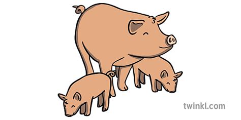 Pigs Mother Pig Piglets Farm Mud Fence Animals Ks1 Illustration Twinkl