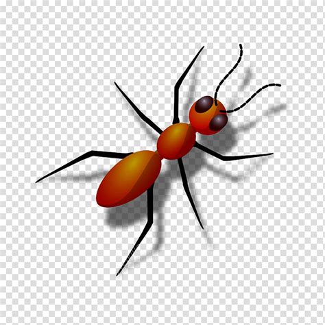 fire ant clipart 10 free Cliparts | Download images on Clipground 2024