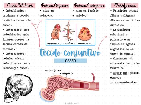 Mapa Mental Tecido Osseo Braincp NBKomputer