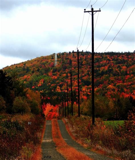 Photographers capture Nova Scotia's fleeting fall colours at their peak ...