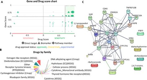 The Drug Gene Interaction Analysis A The Gene And Drug Score Chart