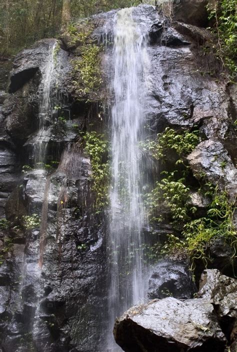 Waterfalls Bunya mountains Queensland — Stock Photo © byjenjen #11052152