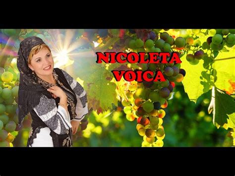 Nicoleta Voica Muzica De Petrecere Muzica De Joc Si Voie Buna 2024