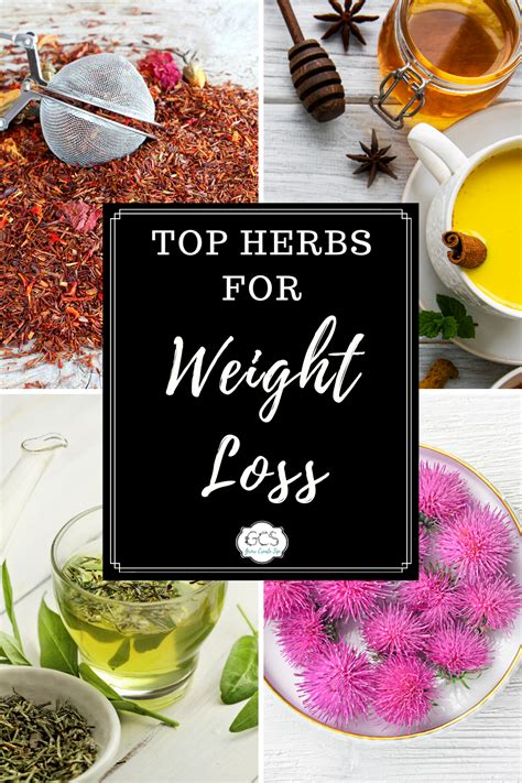 Could Tea Help You Lose Weight? Top Herbs for Weight Loss