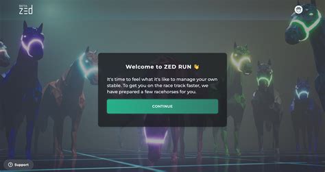 Beginners Guide To Zed Run And Zed Token Transak