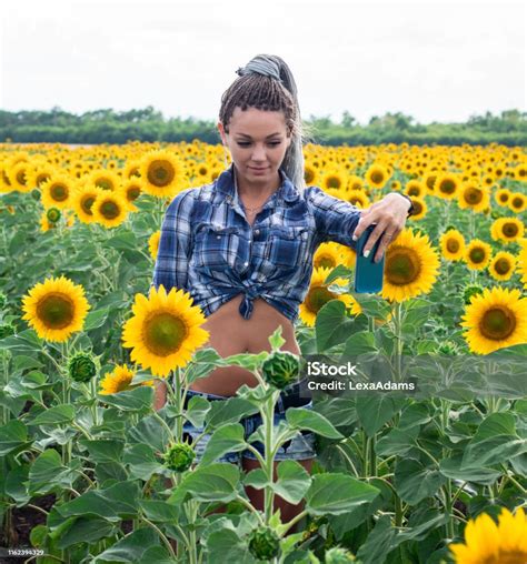 Young Cute Tanned Country Girl With Afrobraids On The Sunflowers Field