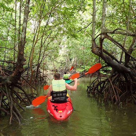 Full Day Trip Kayak Tour Ban Bor Thor Krabi Phuket Dream Company