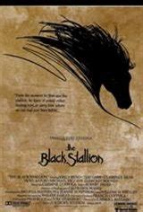 The Black Stallion - | Movie Synopsis and Plot