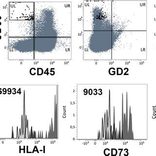 Optimization Of The Multiparametric Flow Cytometry Mfc Analysis Bone