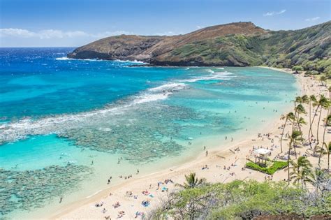 Premium Photo Hanauma Bay Snorkeling Paradise In Hawaii