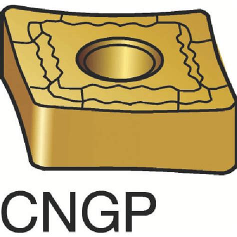 Cngp Sandvik T Max P Monet Asia