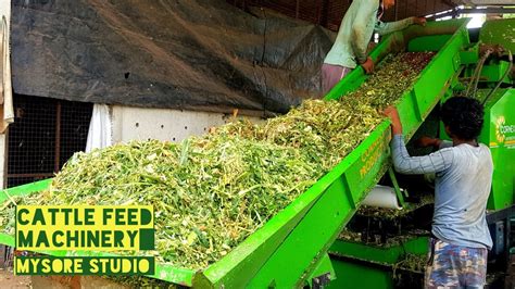 Cattle Feed Making Machinery Animal Feed Processing Line Silage