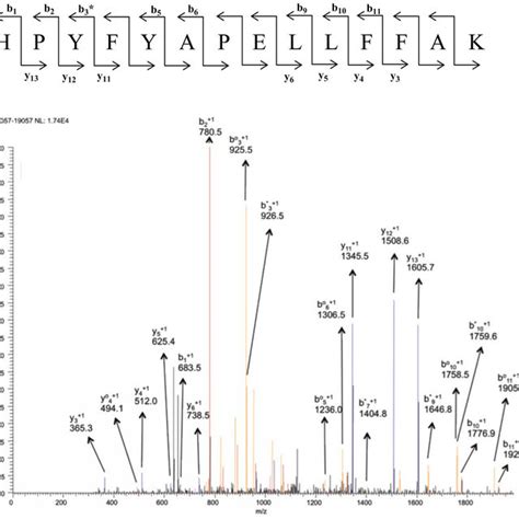 MS MS Spectrum Of Peptide Containing Residues 169 183 In The 2 Charge