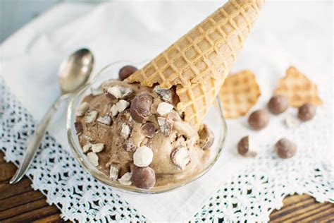 Chocolate Malt Ice Cream Little Figgy Food