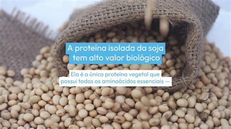 Proteína de Soja tem ou não tem benefícios Saiba mais