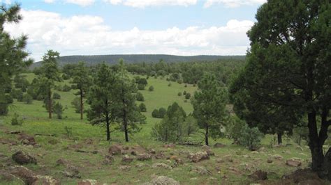 New Mexico | Bureau of Land Management